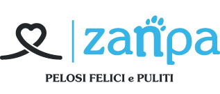 Logo CardWash